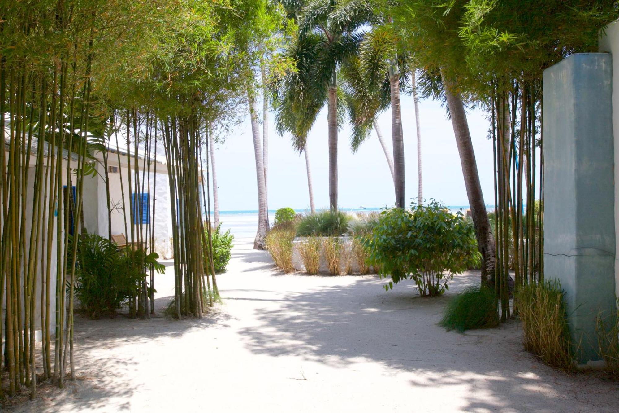 Lime N Soda Beachfront Resort Thong Sala Room photo